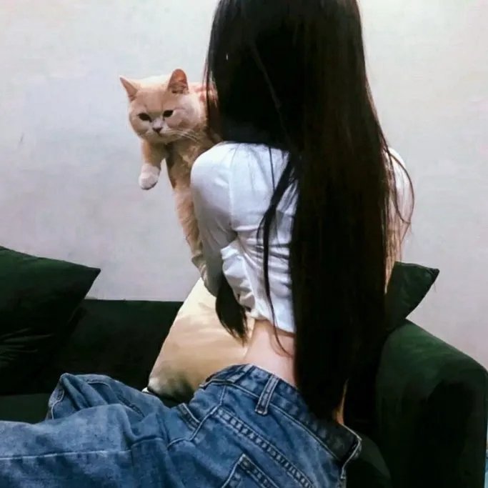 约会规则第四季 封面